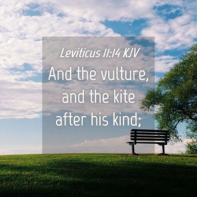 Picture 04 - Leviticus 11:14 KJV - And the vulture, and the kite after his - Bible Verse Picture
