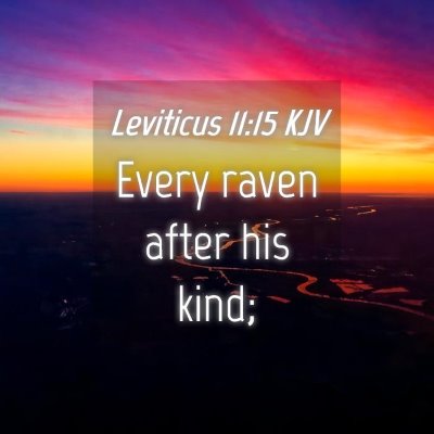 Picture 04 - Leviticus 11:15 KJV - Every raven after his - Bible Verse Picture