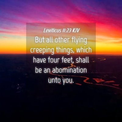 Picture 04 - Leviticus 11:23 KJV - But all other flying creeping things, which have - Bible Verse Picture