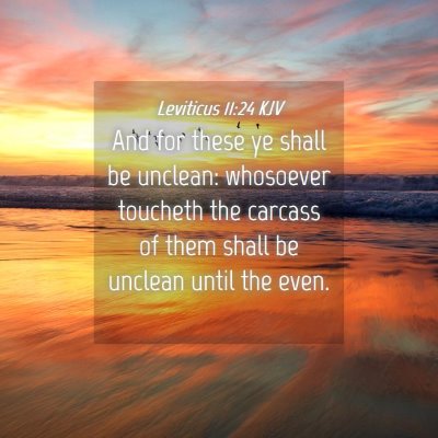 Picture 04 - Leviticus 11:24 KJV - And for these ye shall be unclean: whosoever - Bible Verse Picture