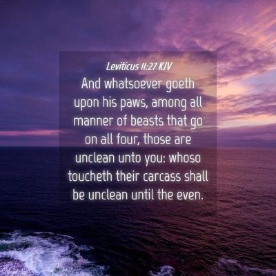 Picture 04 - Leviticus 11:27 KJV - And whatsoever goeth upon his paws, among all - Bible Verse Picture