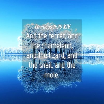 Picture 04 - Leviticus 11:30 KJV - And the ferret, and the chameleon, and the - Bible Verse Picture