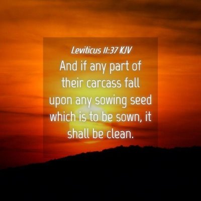 Picture 04 - Leviticus 11:37 KJV - And if any part of their carcass fall upon any - Bible Verse Picture