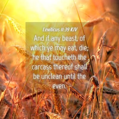 Picture 04 - Leviticus 11:39 KJV - And if any beast, of which ye may eat, die; he - Bible Verse Picture