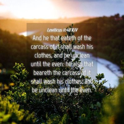 Picture 04 - Leviticus 11:40 KJV - And he that eateth of the carcass of it shall - Bible Verse Picture