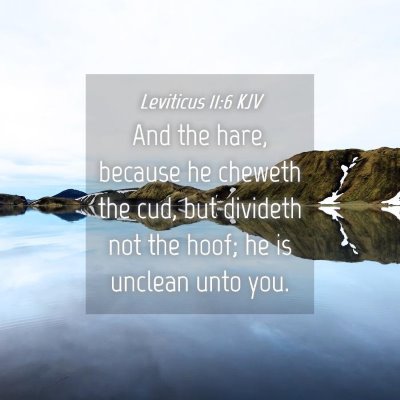 Picture 04 - Leviticus 11:6 KJV - And the hare, because he cheweth the cud, but - Bible Verse Picture