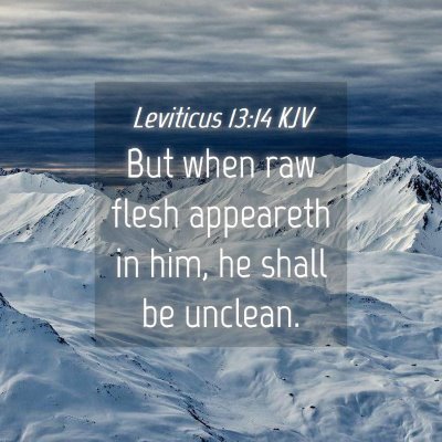 Picture 04 - Leviticus 13:14 KJV - But when raw flesh appeareth in him, he shall be - Bible Verse Picture