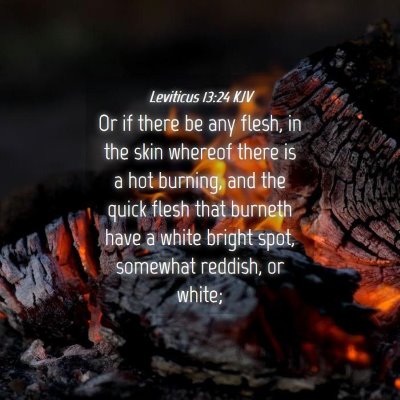 Picture 04 - Leviticus 13:24 KJV - Or if there be any flesh, in the skin whereof - Bible Verse Picture
