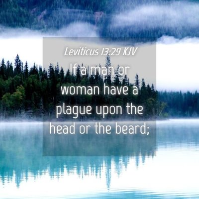 Picture 04 - Leviticus 13:29 KJV - If a man or woman have a plague upon the head or - Bible Verse Picture