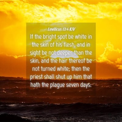Picture 04 - Leviticus 13:4 KJV - If the bright spot be white in the skin of his - Bible Verse Picture