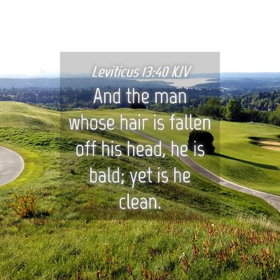 Picture 04 - Leviticus 13:40 KJV - And the man whose hair is fallen off his head, he - Bible Verse Picture