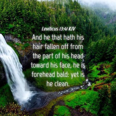 Picture 04 - Leviticus 13:41 KJV - And he that hath his hair fallen off from the - Bible Verse Picture