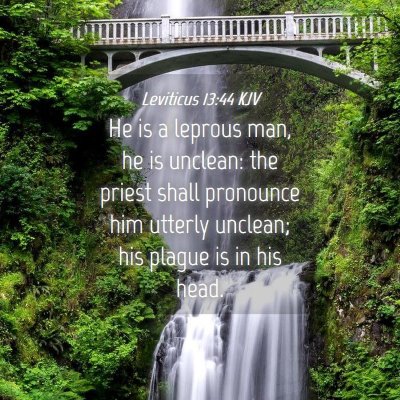 Picture 04 - Leviticus 13:44 KJV - He is a leprous man, he is unclean: the priest - Bible Verse Picture