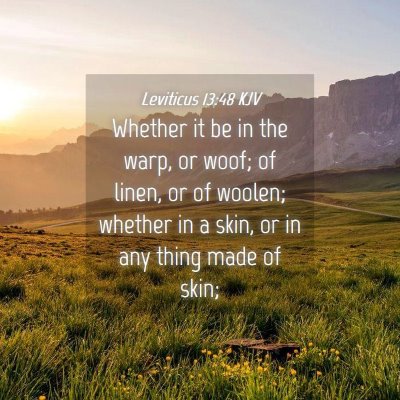 Picture 04 - Leviticus 13:48 KJV - Whether it be in the warp, or woof; of linen, or - Bible Verse Picture