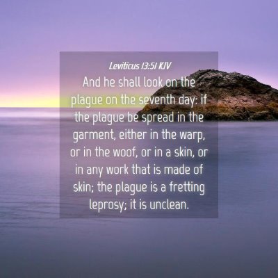 Picture 04 - Leviticus 13:51 KJV - And he shall look on the plague on the seventh - Bible Verse Picture