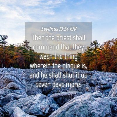 Picture 04 - Leviticus 13:54 KJV - Then the priest shall command that they wash the - Bible Verse Picture