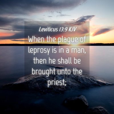 Picture 04 - Leviticus 13:9 KJV - When the plague of leprosy is in a man, then he - Bible Verse Picture