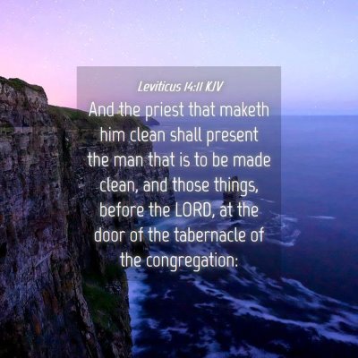 Picture 04 - Leviticus 14:11 KJV - And the priest that maketh him clean shall - Bible Verse Picture
