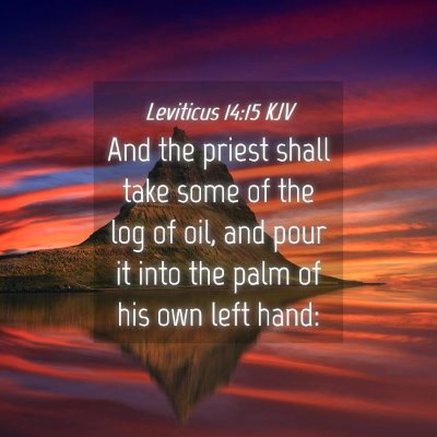 Picture 04 - Leviticus 14:15 KJV - And the priest shall take some of the log of oil, - Bible Verse Picture