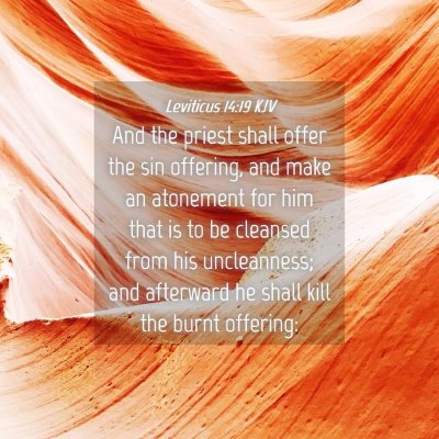 Picture 04 - Leviticus 14:19 KJV - And the priest shall offer the sin offering, and - Bible Verse Picture
