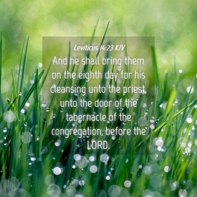 Picture 04 - Leviticus 14:23 KJV - And he shall bring them on the eighth day for his - Bible Verse Picture