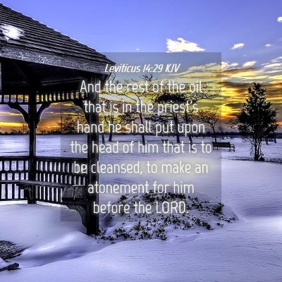 Picture 04 - Leviticus 14:29 KJV - And the rest of the oil that is in the priest's - Bible Verse Picture