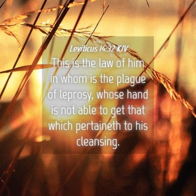 Picture 04 - Leviticus 14:32 KJV - This is the law of him in whom is the plague of - Bible Verse Picture