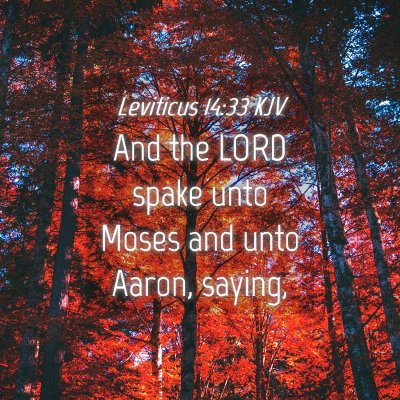Picture 04 - Leviticus 14:33 KJV - And the LORD spake unto Moses and unto Aaron, - Bible Verse Picture
