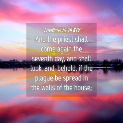 Picture 04 - Leviticus 14:39 KJV - And the priest shall come again the seventh day, - Bible Verse Picture