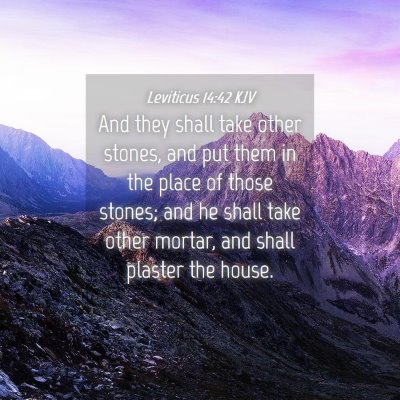 Picture 04 - Leviticus 14:42 KJV - And they shall take other stones, and put them in - Bible Verse Picture