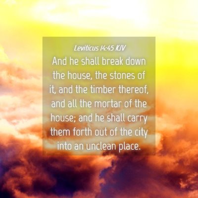 Picture 04 - Leviticus 14:45 KJV - And he shall break down the house, the stones of - Bible Verse Picture
