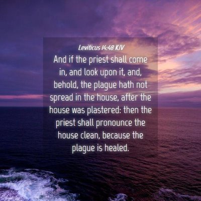 Picture 04 - Leviticus 14:48 KJV - And if the priest shall come in, and look upon - Bible Verse Picture