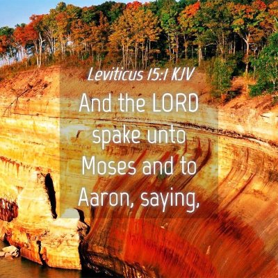 Picture 04 - Leviticus 15:1 KJV - And the LORD spake unto Moses and to Aaron, - Bible Verse Picture