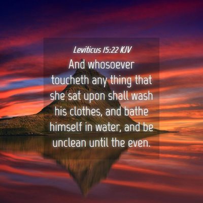 Picture 04 - Leviticus 15:22 KJV - And whosoever toucheth any thing that she sat - Bible Verse Picture