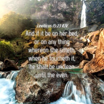 Picture 04 - Leviticus 15:23 KJV - And if it be on her bed, or on any thing whereon - Bible Verse Picture