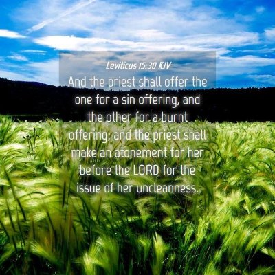 Picture 04 - Leviticus 15:30 KJV - And the priest shall offer the one for a sin - Bible Verse Picture