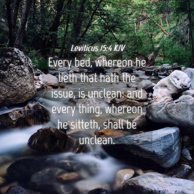 Picture 04 - Leviticus 15:4 KJV - Every bed, whereon he lieth that hath the issue, - Bible Verse Picture