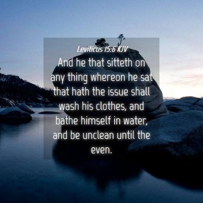 Picture 04 - Leviticus 15:6 KJV - And he that sitteth on any thing whereon he sat - Bible Verse Picture