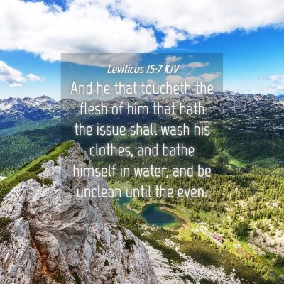 Picture 04 - Leviticus 15:7 KJV - And he that toucheth the flesh of him that hath - Bible Verse Picture