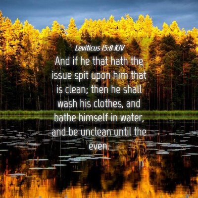 Picture 04 - Leviticus 15:8 KJV - And if he that hath the issue spit upon him that - Bible Verse Picture