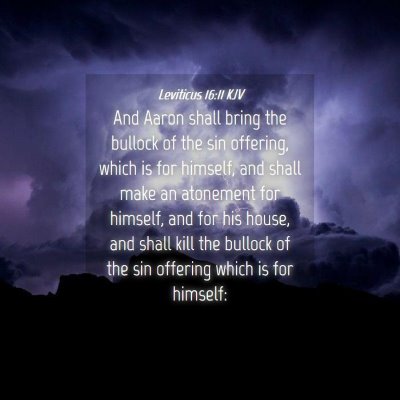 Picture 04 - Leviticus 16:11 KJV - And Aaron shall bring the bullock of the sin - Bible Verse Picture