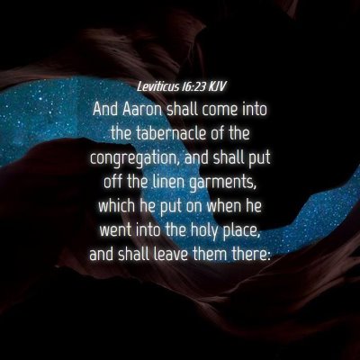 Picture 04 - Leviticus 16:23 KJV - And Aaron shall come into the tabernacle of the - Bible Verse Picture