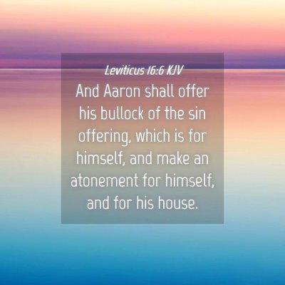 Picture 04 - Leviticus 16:6 KJV - And Aaron shall offer his bullock of the sin - Bible Verse Picture