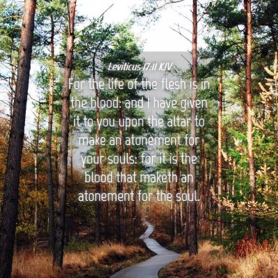 Picture 04 - Leviticus 17:11 KJV - For the life of the flesh is in the blood: and I - Bible Verse Picture