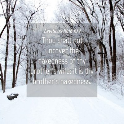 Picture 04 - Leviticus 18:16 KJV - Thou shalt not uncover the nakedness of thy - Bible Verse Picture