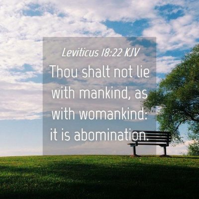 Picture 04 - Leviticus 18:22 KJV - Thou shalt not lie with mankind, as with - Bible Verse Picture