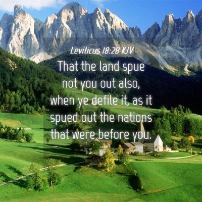 Picture 04 - Leviticus 18:28 KJV - That the land spue not you out also, when ye - Bible Verse Picture