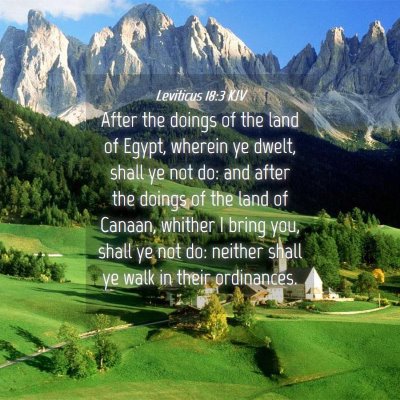 Picture 04 - Leviticus 18:3 KJV - After the doings of the land of Egypt, wherein ye - Bible Verse Picture