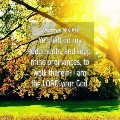 Picture 04 - Leviticus 18:4 KJV - Ye shall do my judgments, and keep mine - Bible Verse Picture