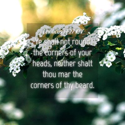 Picture 04 - Leviticus 19:27 KJV - Ye shall not round the corners of your heads, - Bible Verse Picture